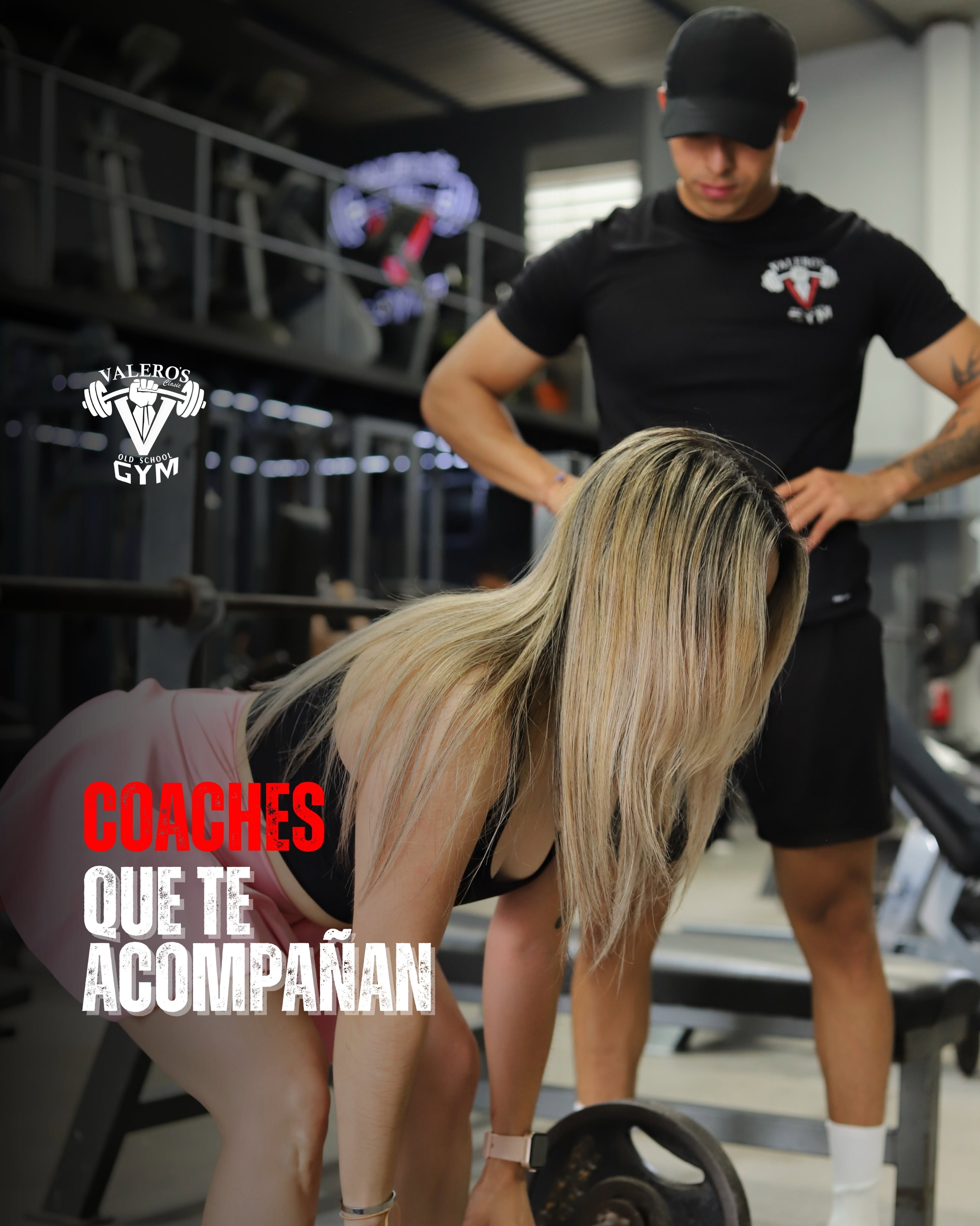 Rack de sentadillas